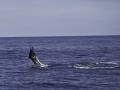 Los Suenos, Costa Rica